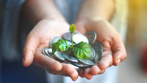 The 2026 Guide to Eco-Friendly Banking: Saving Money While Saving the Planet