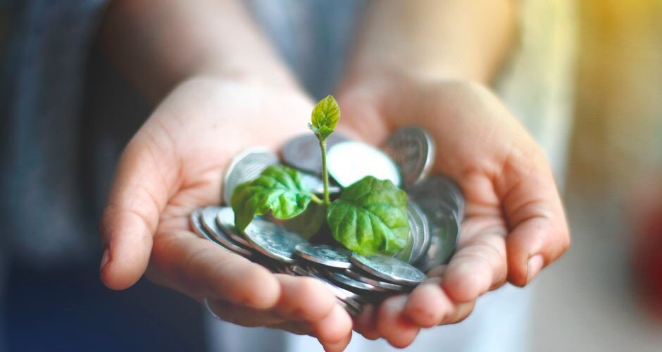 The 2026 Guide to Eco-Friendly Banking: Saving Money While Saving the Planet
